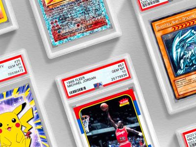 Lot de 10 étuis format PSA pour cartes de collection